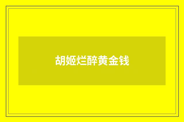 胡姬烂醉黄金钱
