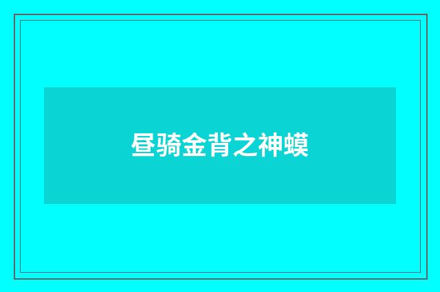 昼骑金背之神蟆