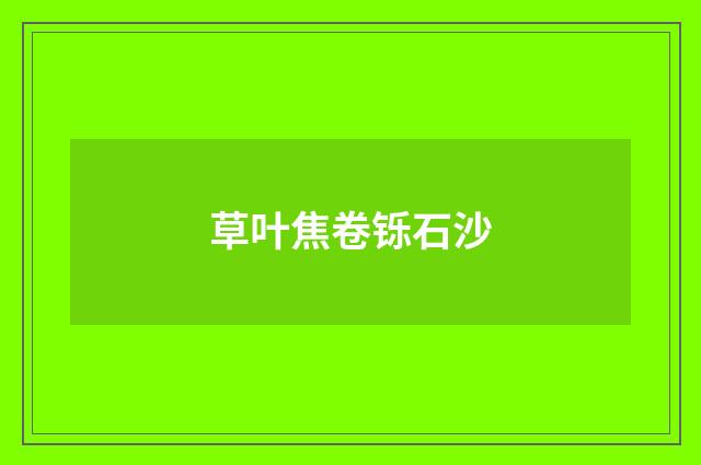 草叶焦卷铄石沙