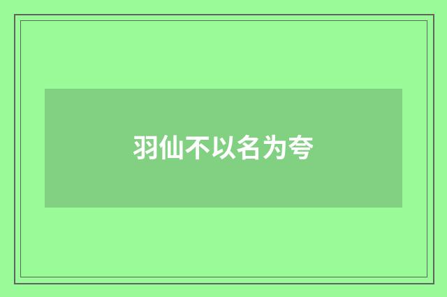 羽仙不以名为夸