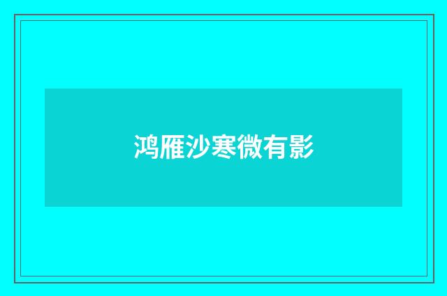 鸿雁沙寒微有影