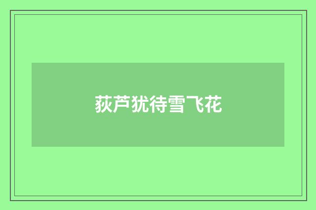 荻芦犹待雪飞花