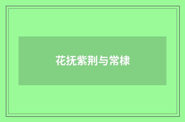 花抚紫荆与常棣