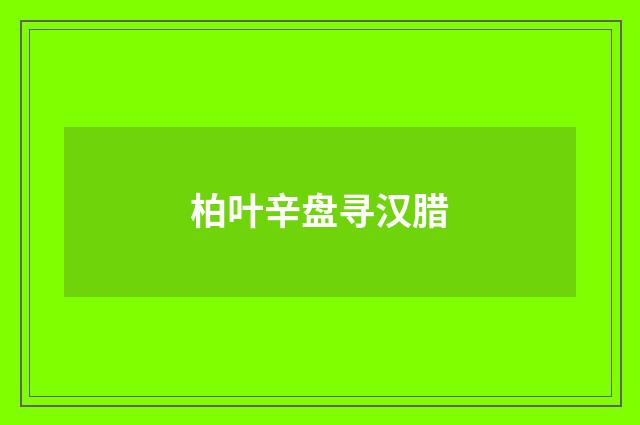 柏叶辛盘寻汉腊