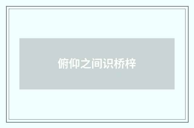 俯仰之间识桥梓