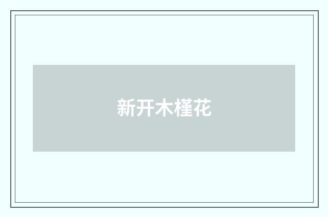 新开木槿花