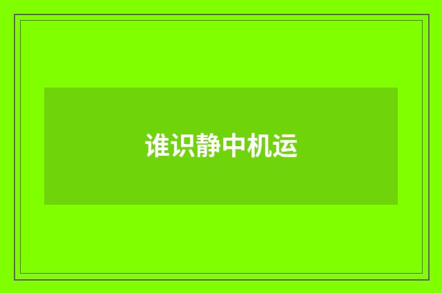 谁识静中机运