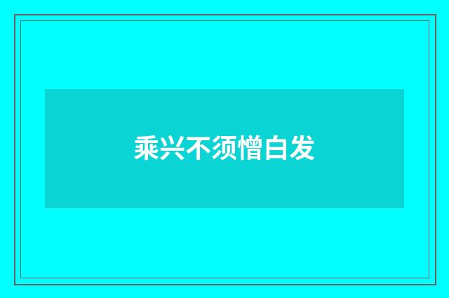 乘兴不须憎白发