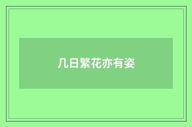几日繁花亦有姿