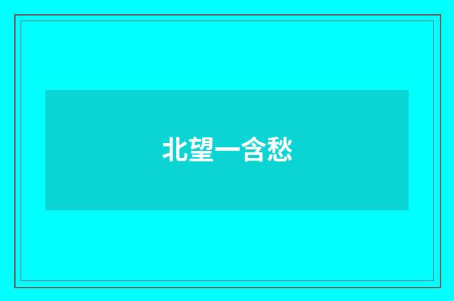 北望一含愁