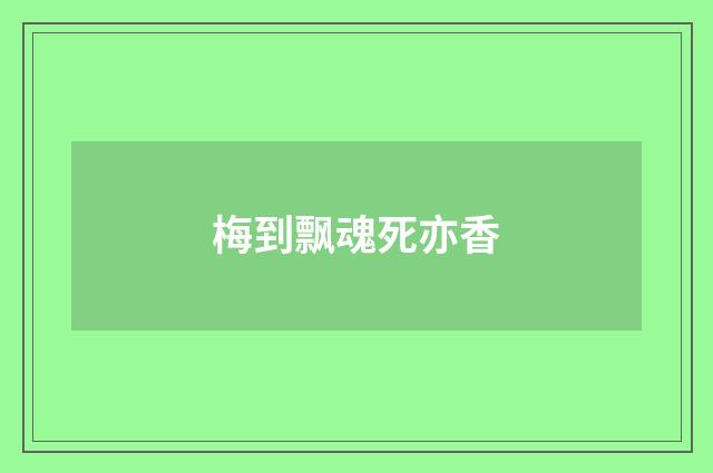 梅到飘魂死亦香