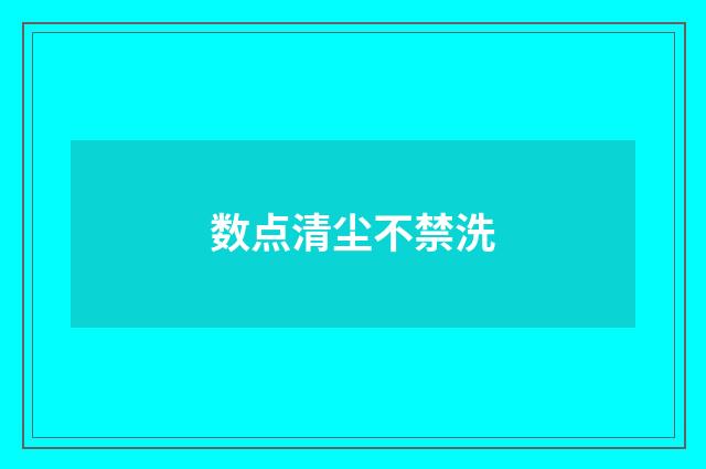 数点清尘不禁洗