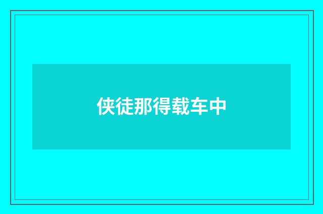 侠徒那得载车中
