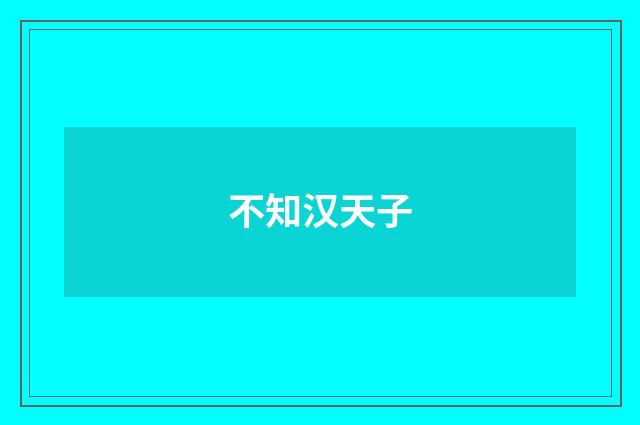 不知汉天子