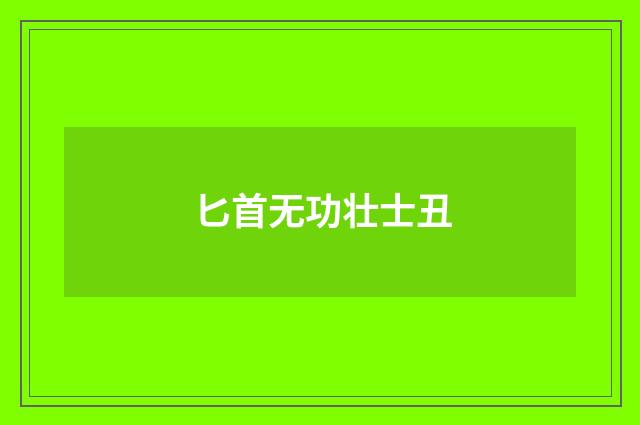 匕首无功壮士丑