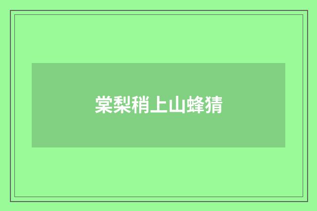 棠梨稍上山蜂猜