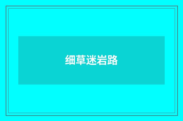 细草迷岩路
