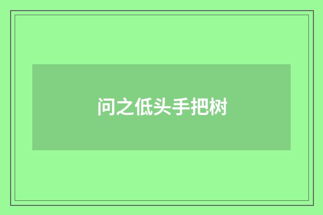 问之低头手把树