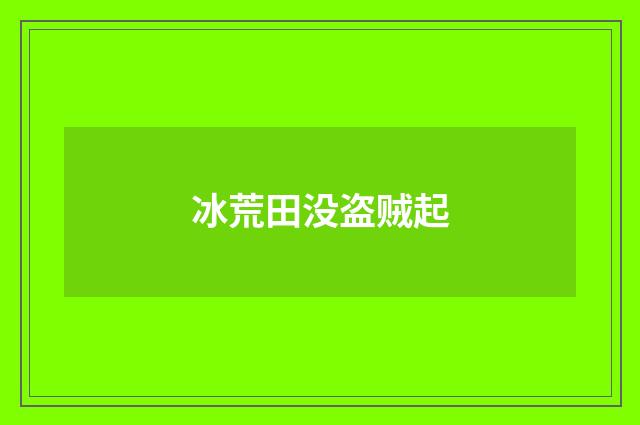 冰荒田没盗贼起