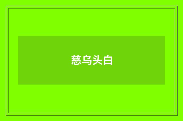慈乌头白