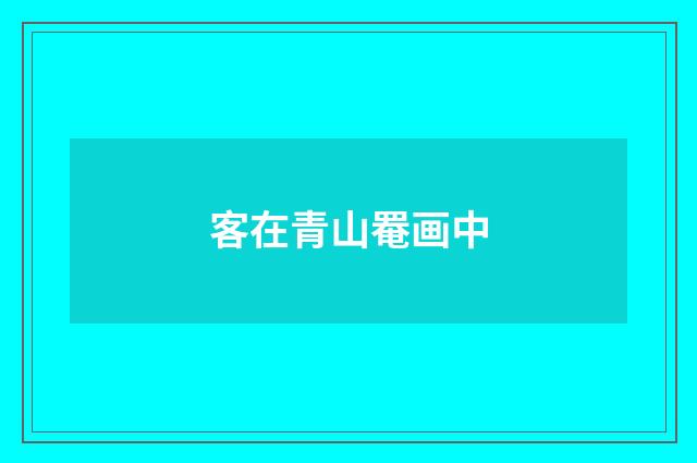 客在青山罨画中