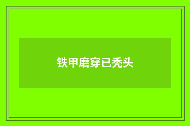 铁甲磨穿已秃头