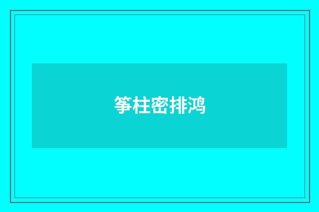 筝柱密排鸿