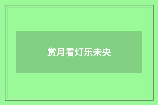 赏月看灯乐未央