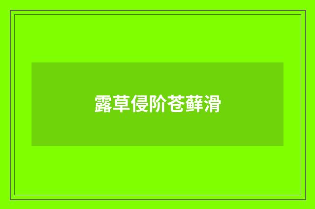 露草侵阶苍藓滑