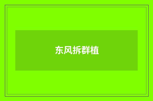 东风拆群植