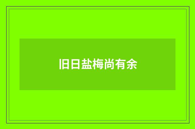 旧日盐梅尚有余