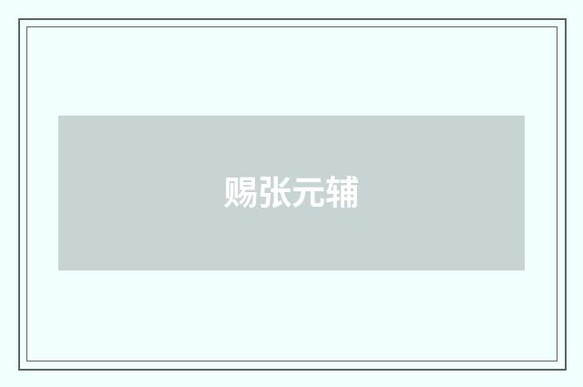赐张元辅