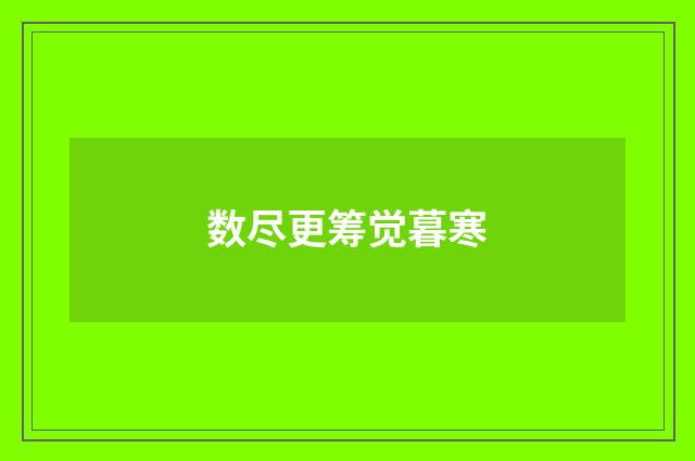 数尽更筹觉暮寒