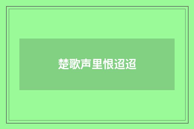 楚歌声里恨迢迢