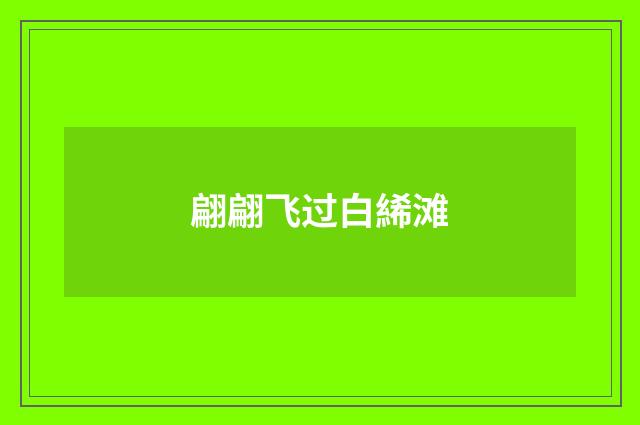 翩翩飞过白絺滩