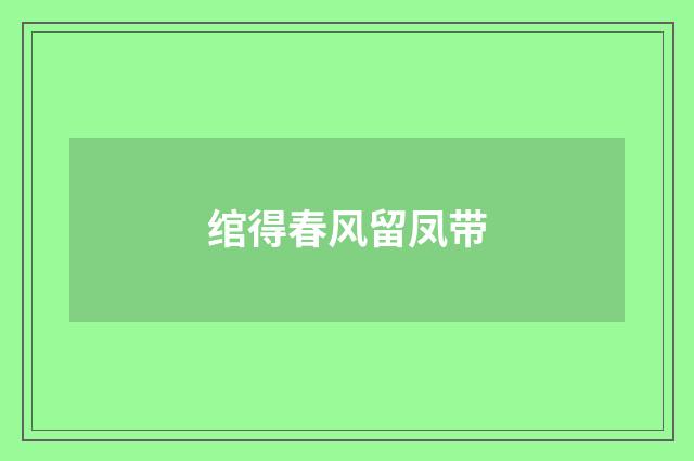 绾得春风留凤带