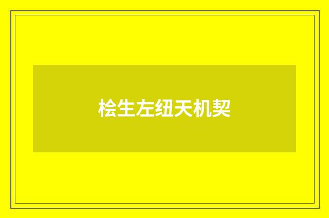 桧生左纽天机契