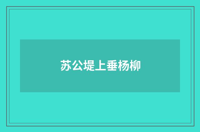 苏公堤上垂杨柳