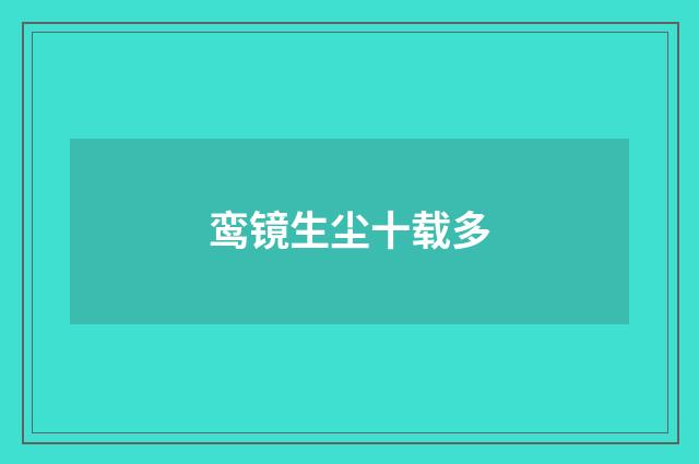 鸾镜生尘十载多