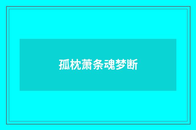 孤枕萧条魂梦断