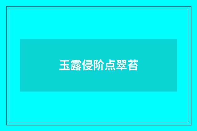 玉露侵阶点翠苔