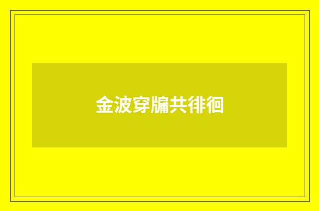 金波穿牖共徘徊