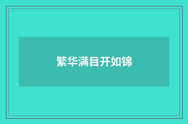 繁华满目开如锦