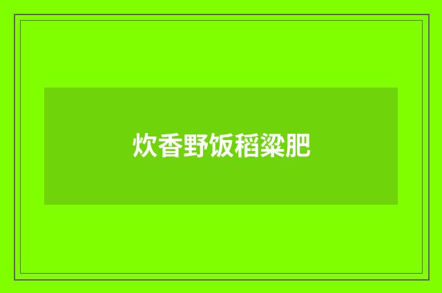 炊香野饭稻粱肥