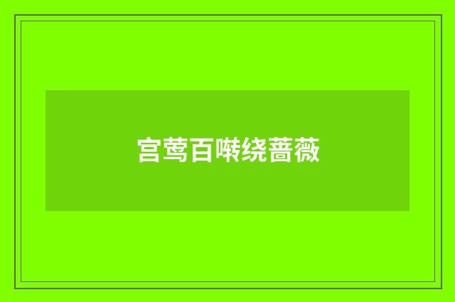 宫莺百啭绕蔷薇