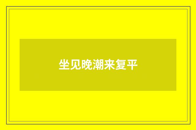 坐见晚潮来复平