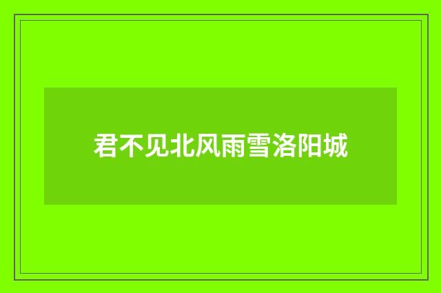 君不见北风雨雪洛阳城