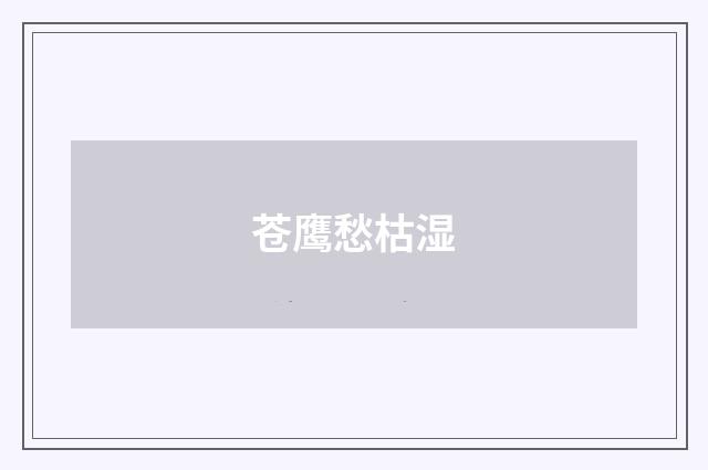 苍鹰愁枯湿