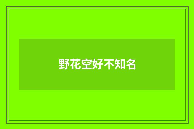 野花空好不知名