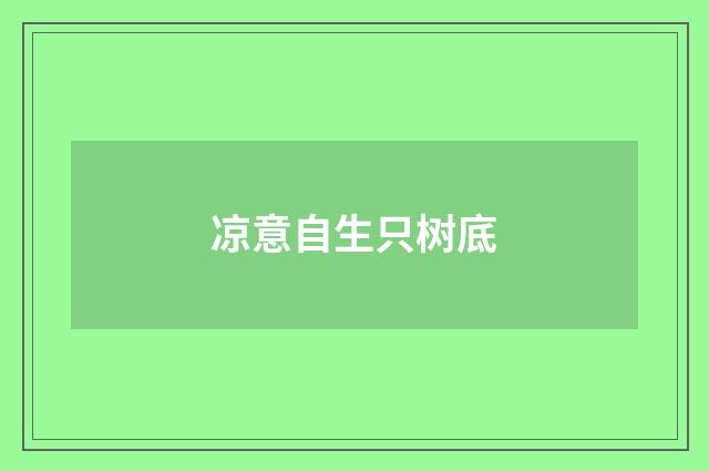凉意自生只树底